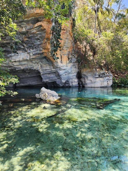 thumbnail image 838