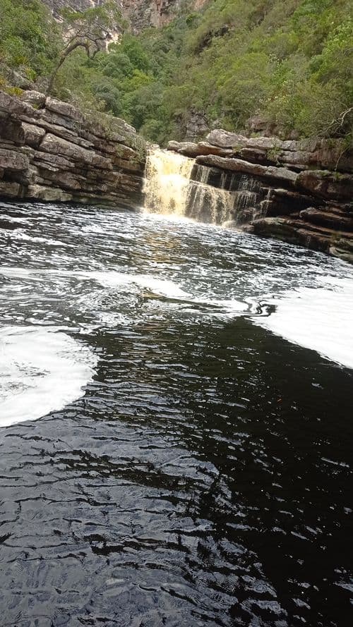 thumbnail image 815