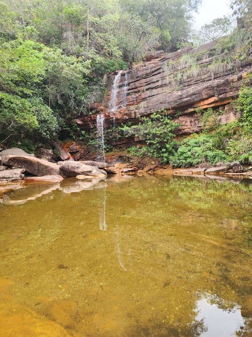carousel image 875