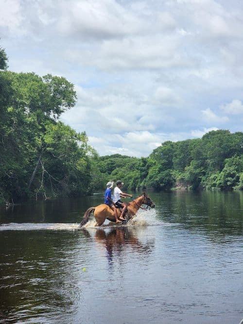 thumbnail image 882