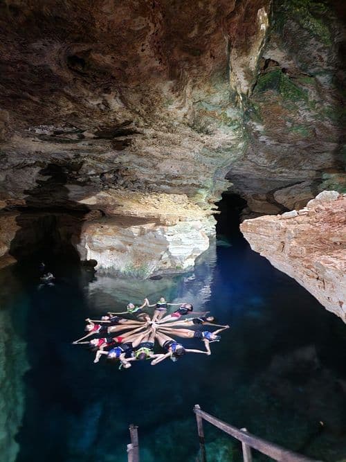 thumbnail image 881