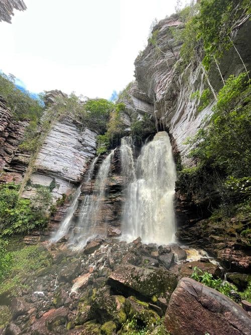 thumbnail image 819