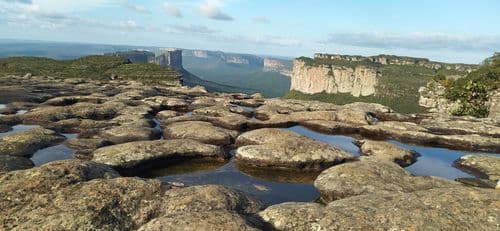 thumbnail image 566