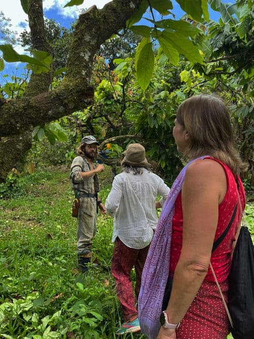 Itacaré & Maraú: Tour de colheita de Cacau Agroflorestal com Degustação